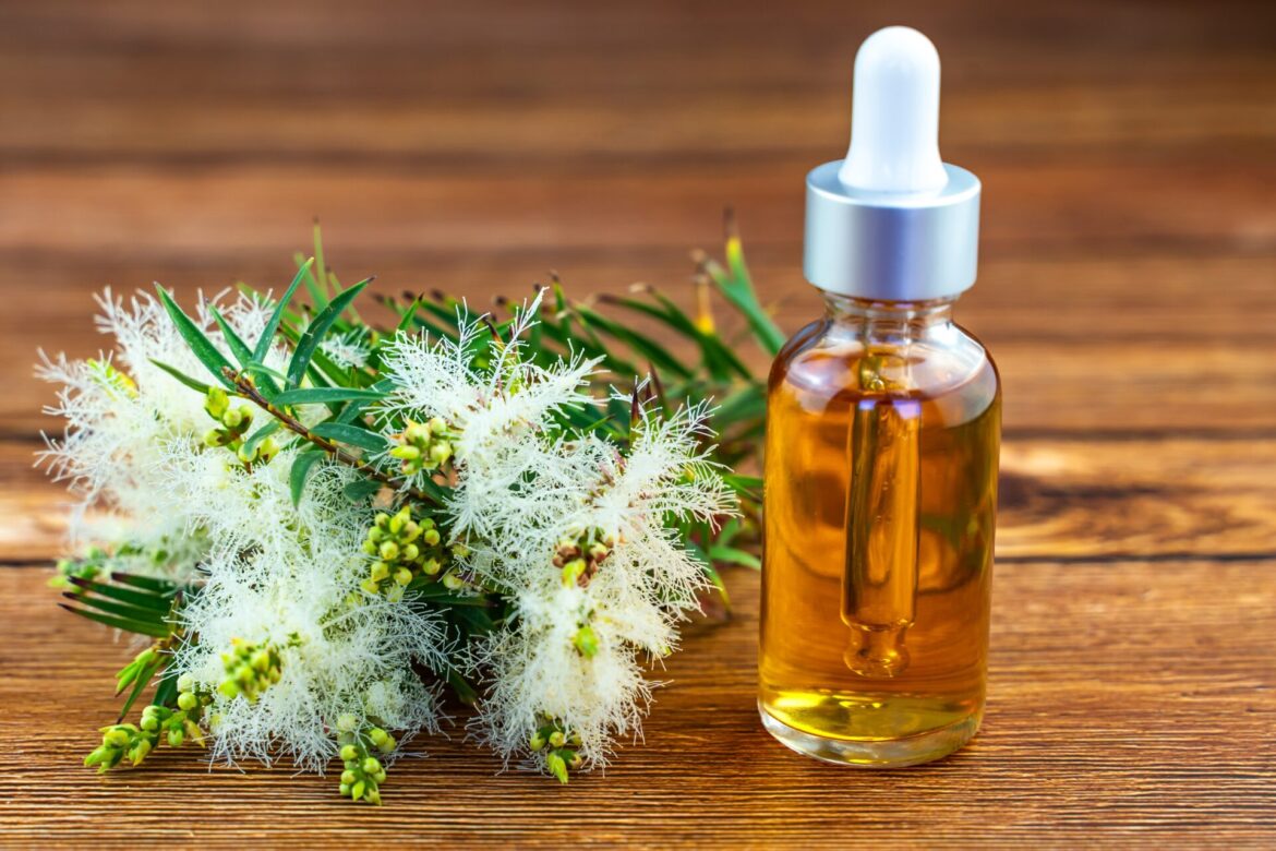 Tea tree